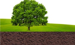 Terre, source d’énergie