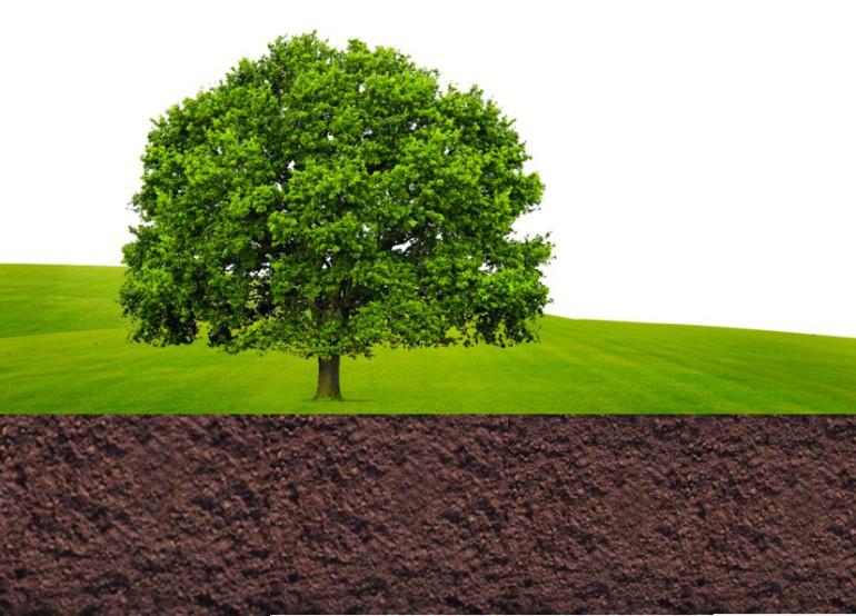 Terre, source d’énergie